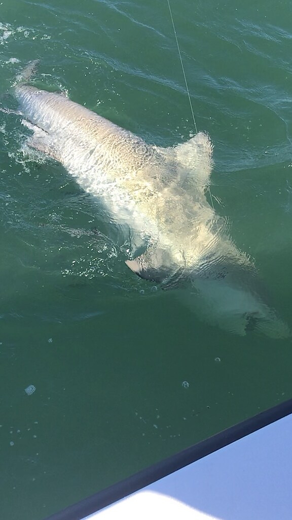 Live family fishing action   